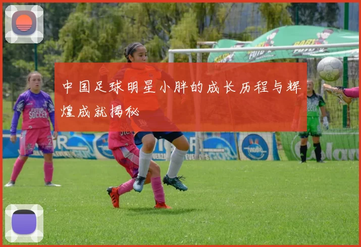 中国足球明星小胖的成长历程与辉煌成就揭秘