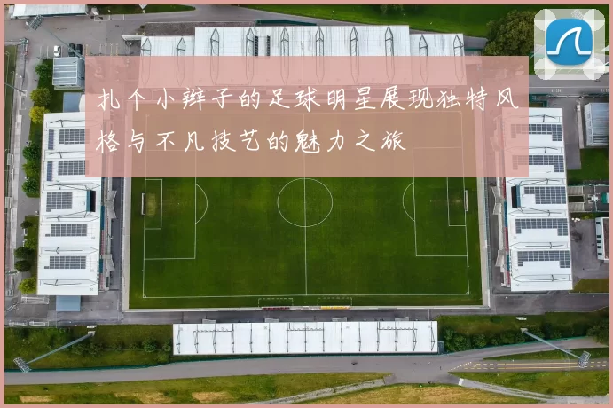 扎个小辫子的足球明星展现独特风格与不凡技艺的魅力之旅