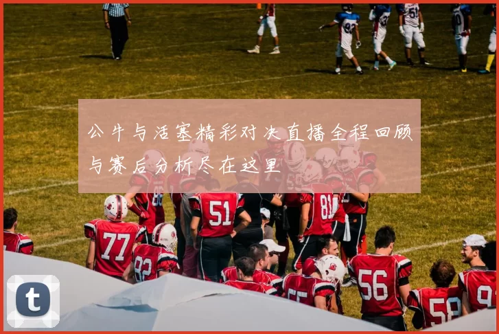 公牛与活塞精彩对决直播全程回顾与赛后分析尽在这里