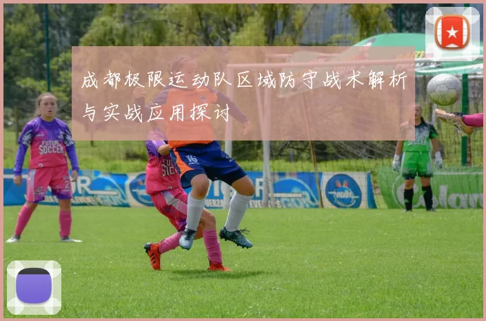 成都极限运动队区域防守战术解析与实战应用探讨