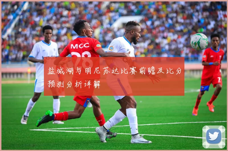 盐城湖与明尼苏达比赛前瞻及比分预测分析详解