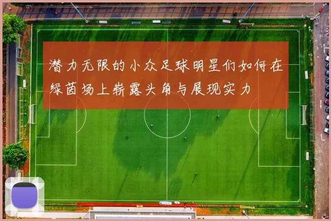 潜力无限的小众足球明星们如何在绿茵场上崭露头角与展现实力