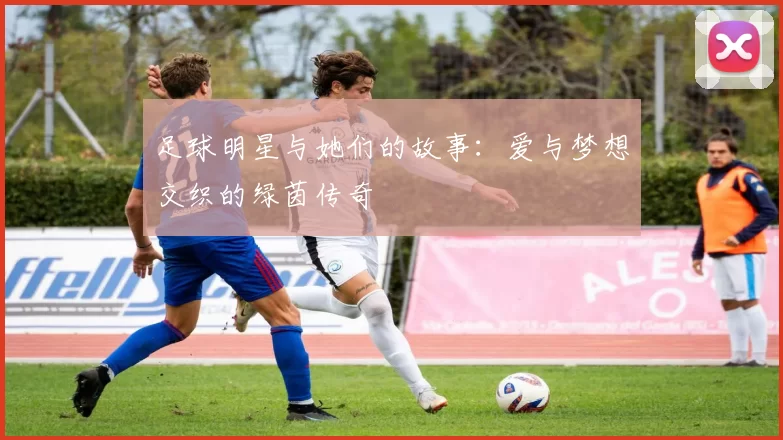 足球明星与她们的故事：爱与梦想交织的绿茵传奇