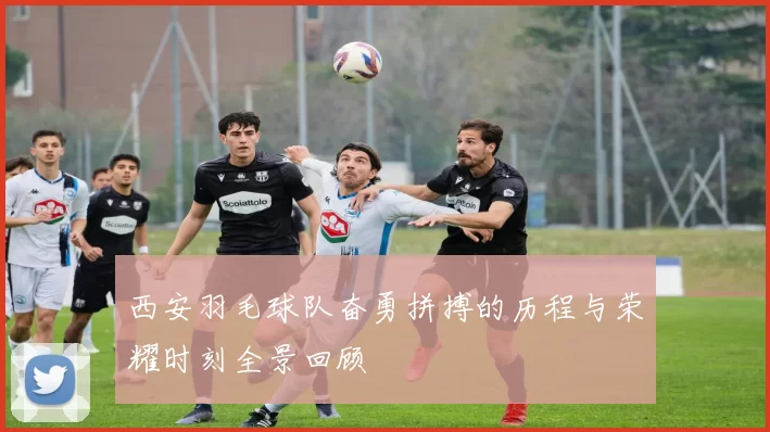 西安羽毛球队奋勇拼搏的历程与荣耀时刻全景回顾