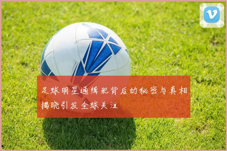 足球明星通缉犯背后的秘密与真相揭晓引发全球关注