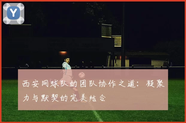 西安网球队的团队协作之道：凝聚力与默契的完美结合