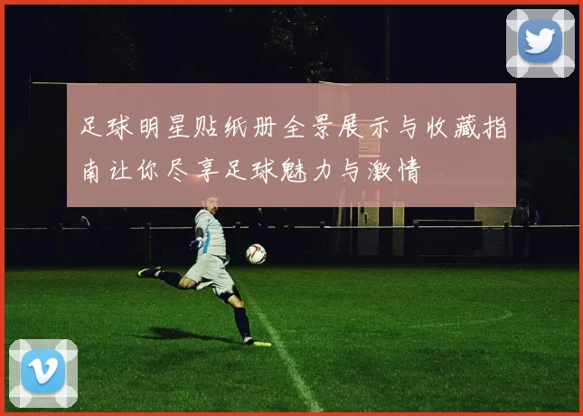 足球明星贴纸册全景展示与收藏指南让你尽享足球魅力与激情
