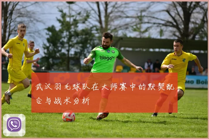 武汉羽毛球队在大师赛中的默契配合与战术分析