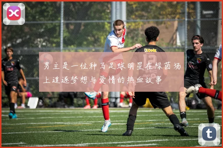 男主是一位种马足球明星在绿茵场上追逐梦想与爱情的热血故事