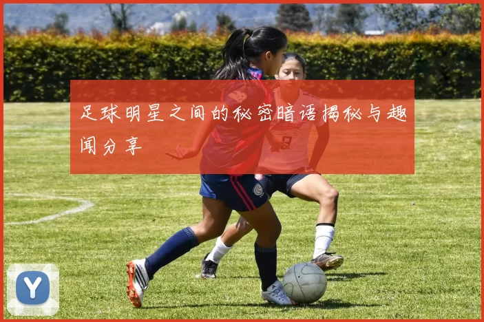 足球明星之间的秘密暗语揭秘与趣闻分享