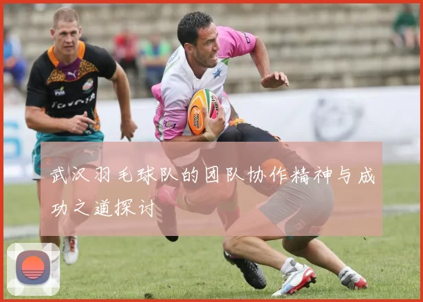 武汉羽毛球队的团队协作精神与成功之道探讨