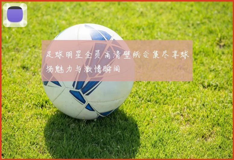 足球明星全员高清壁纸合集尽享球场魅力与激情瞬间