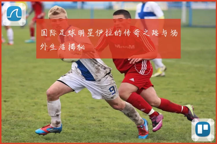 国际足球明星伊拉的传奇之路与场外生活揭秘