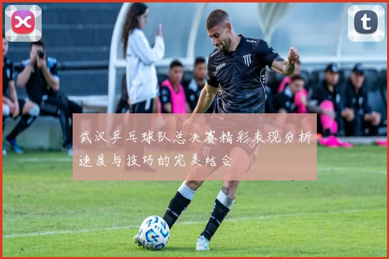 武汉乒乓球队总决赛精彩表现分析速度与技巧的完美结合