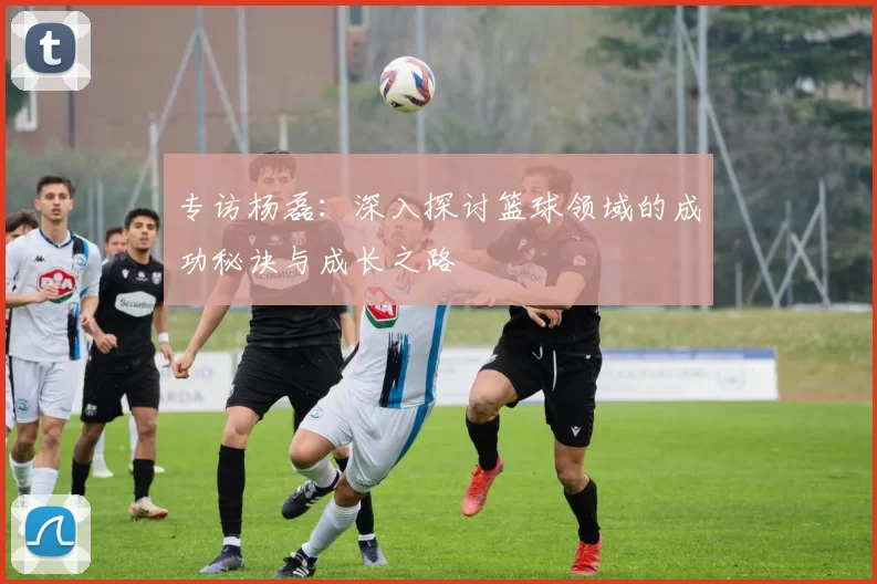 专访杨磊：深入探讨篮球领域的成功秘诀与成长之路