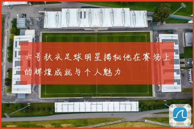 六号秋衣足球明星揭秘他在赛场上的辉煌成就与个人魅力