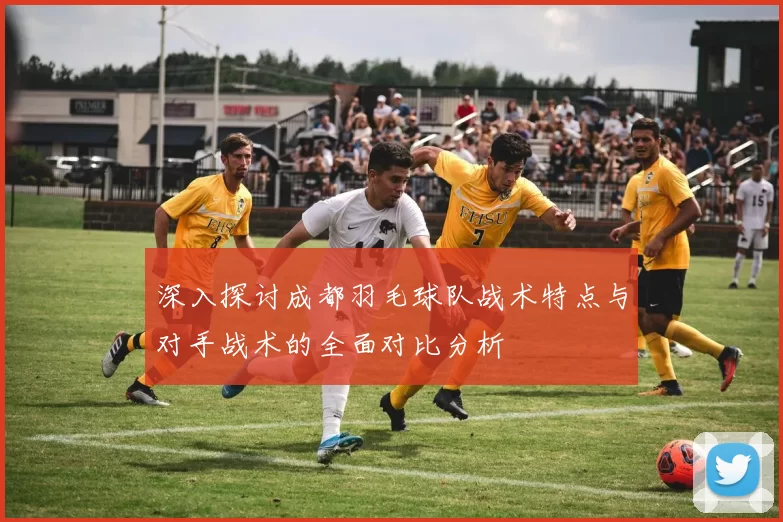 深入探讨成都羽毛球队战术特点与对手战术的全面对比分析